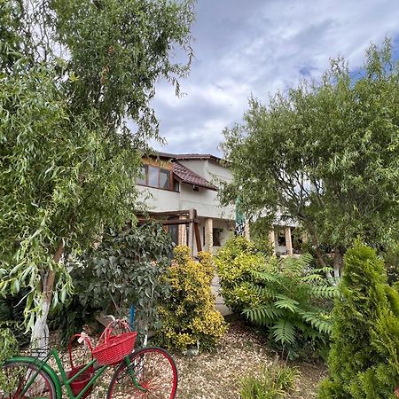 Casa Vera, Tudor Vladimirescu Tulcea Eksteriør billede